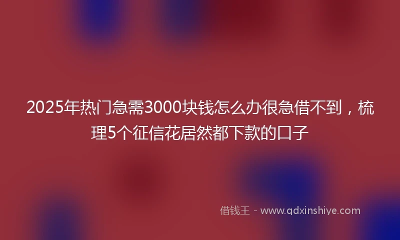2025年热门急需3000块钱怎么办很急借不到，梳理5个征信花居然都下款的口子