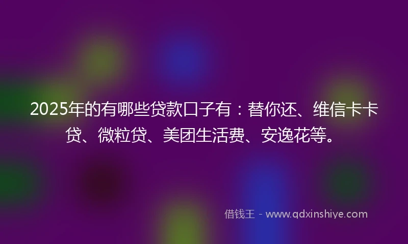 2025年的有哪些贷款口子有：替你还、维信卡卡贷、微粒贷、美团生活费、安逸花等。