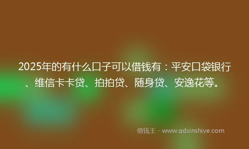2025年的有什么口子可以借钱有：平安口袋银行、维信卡卡贷、拍拍贷、随身贷、安逸花等。