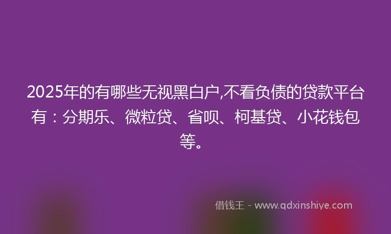 2025年的有哪些无视黑白户,不看负债的贷款平台有：分期乐、微粒贷、省呗、柯基贷、小花钱包等。
