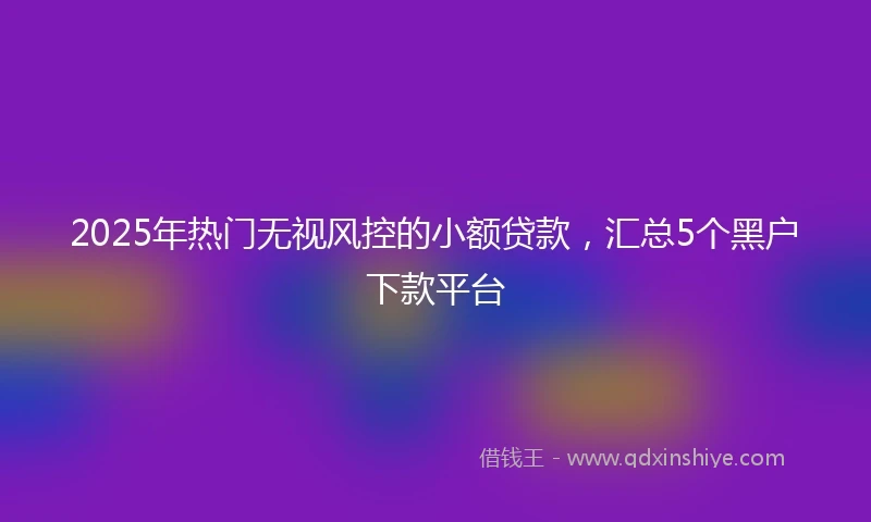 2025年热门无视风控的小额贷款，汇总5个黑户下款平台