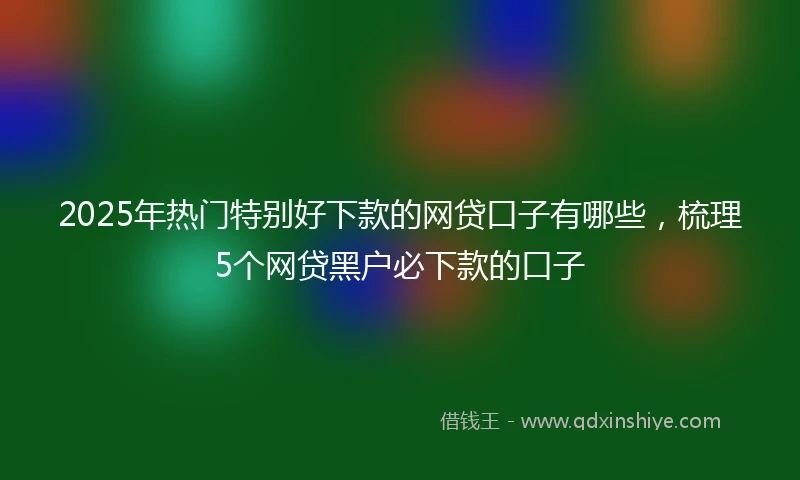 2025年热门特别好下款的网贷口子有哪些，梳理5个网贷黑户必下款的口子