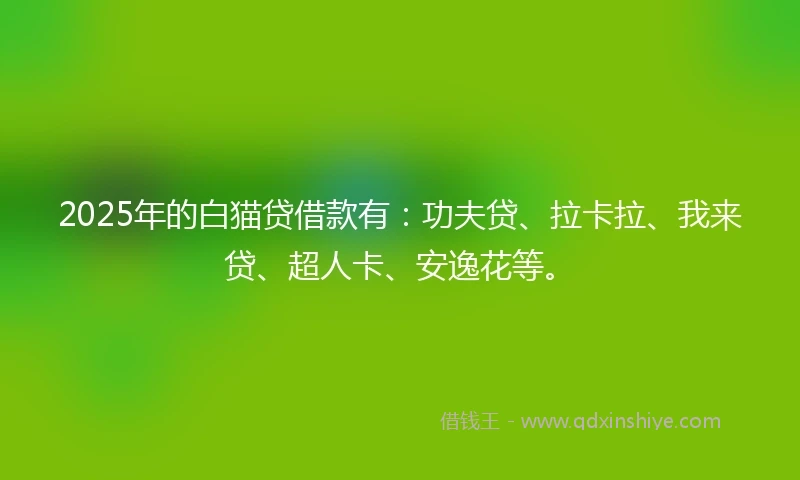2025年的白猫贷借款有：功夫贷、拉卡拉、我来贷、超人卡、安逸花等。