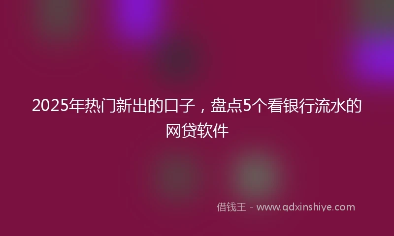 2025年热门新出的口子，盘点5个看银行流水的网贷软件