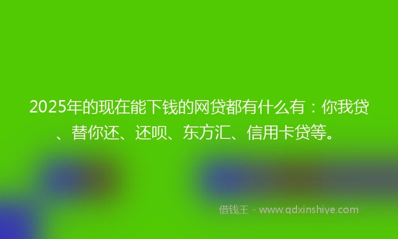 2025年的现在能下钱的网贷都有什么有：你我贷、替你还、还呗、东方汇、信用卡贷等。