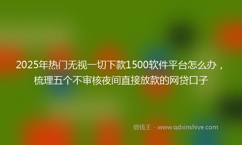 2025年热门无视一切下款1500软件平台怎么办，梳理五个不审核夜间直接放款的网贷口子