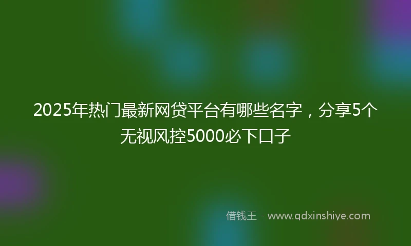 2025年热门最新网贷平台有哪些名字，分享5个无视风控5000必下口子