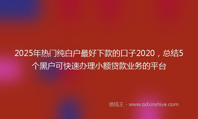 2025年热门纯白户最好下款的口子2020，总结5个黑户可快速办理小额贷款业务的平台