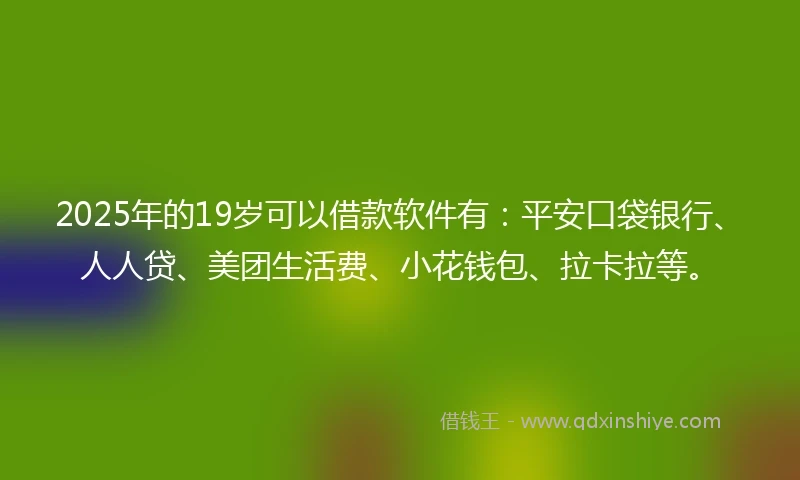 2025年的19岁可以借款软件有：平安口袋银行、人人贷、美团生活费、小花钱包、拉卡拉等。
