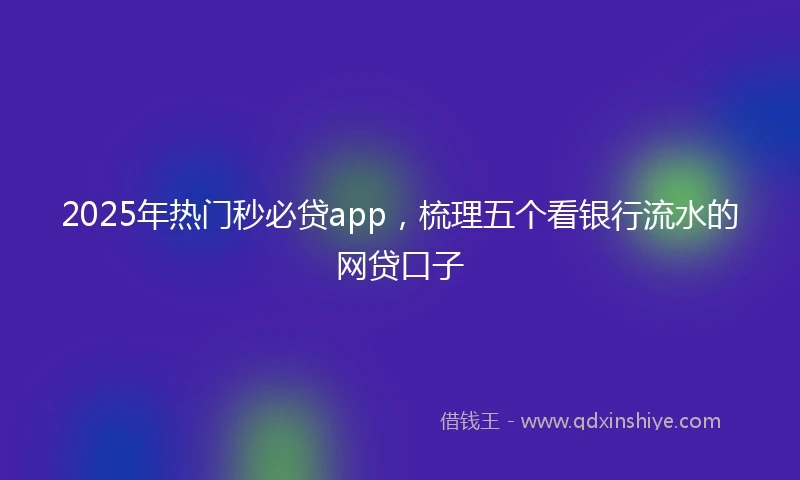 2025年热门秒必贷app，梳理五个看银行流水的网贷口子