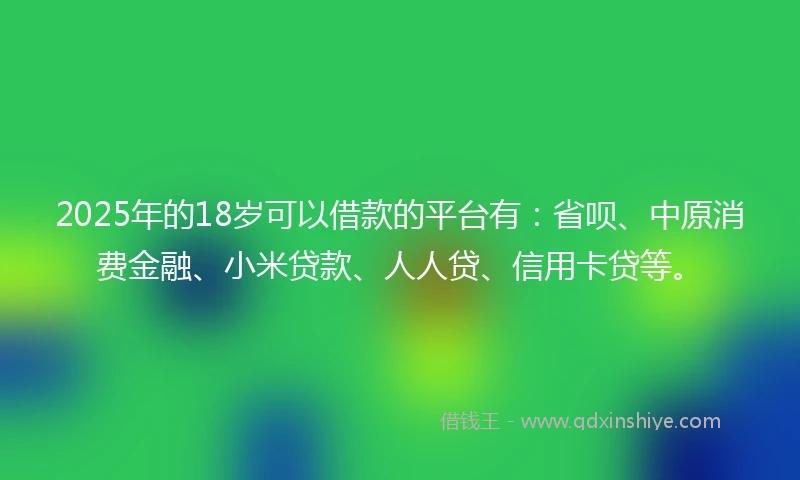 2025年的18岁可以借款的平台有：省呗、中原消费金融、小米贷款、人人贷、信用卡贷等。