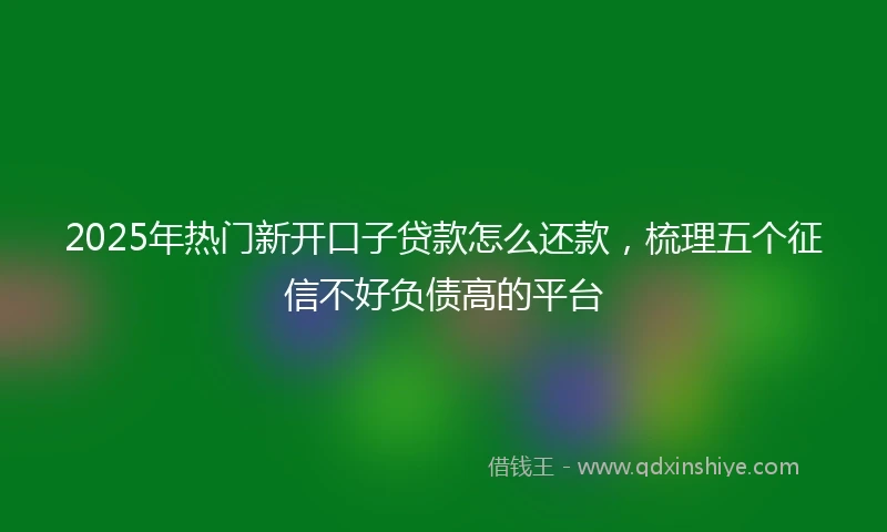 2025年热门新开口子贷款怎么还款，梳理五个征信不好负债高的平台