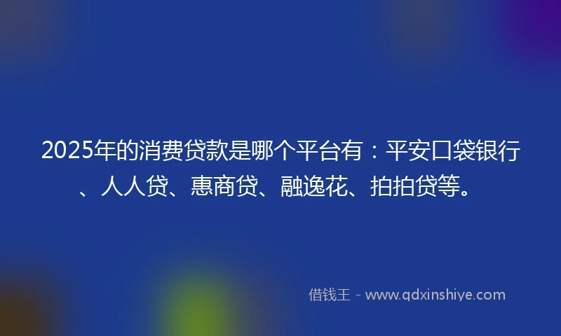 2025年的消费贷款是哪个平台有：平安口袋银行、人人贷、惠商贷、融逸花、拍拍贷等。
