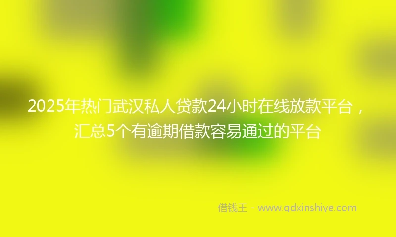 2025年热门武汉私人贷款24小时在线放款平台，汇总5个有逾期借款容易通过的平台