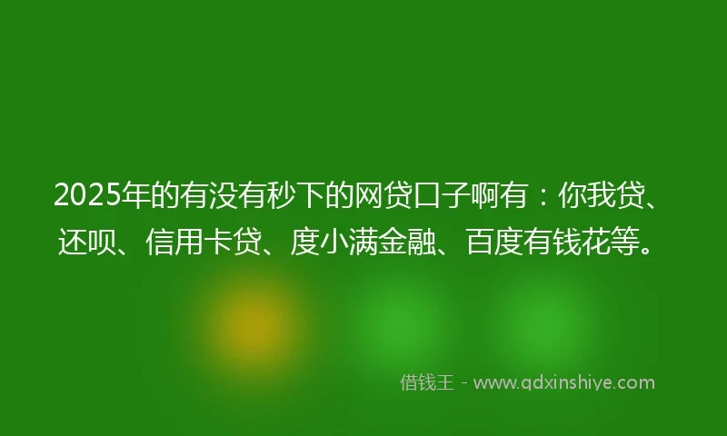2025年的有没有秒下的网贷口子啊有：你我贷、还呗、信用卡贷、度小满金融、百度有钱花等。