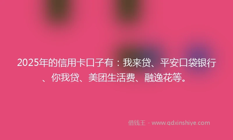 2025年的信用卡口子有：我来贷、平安口袋银行、你我贷、美团生活费、融逸花等。
