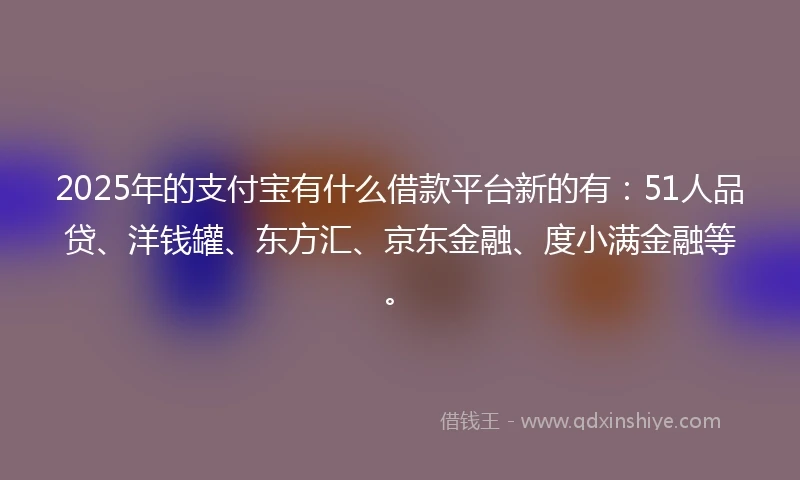 2025年的支付宝有什么借款平台新的有：51人品贷、洋钱罐、东方汇、京东金融、度小满金融等。