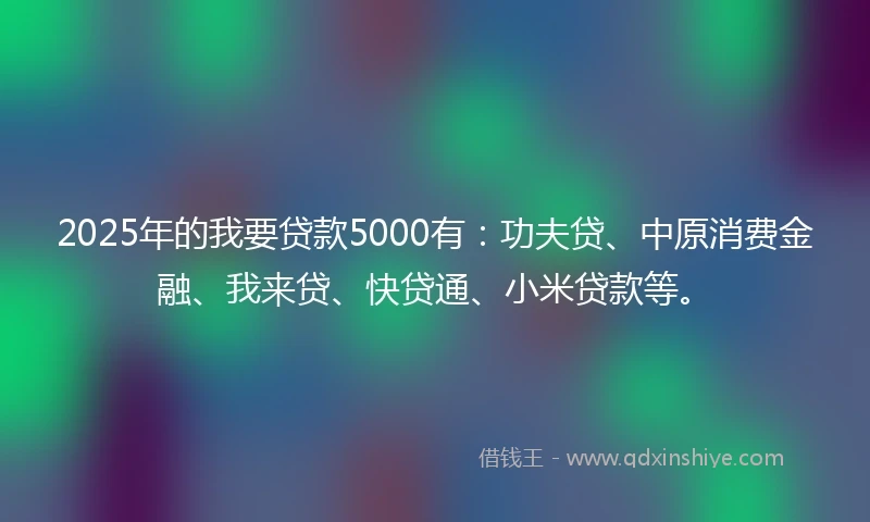 2025年的我要贷款5000有：功夫贷、中原消费金融、我来贷、快贷通、小米贷款等。