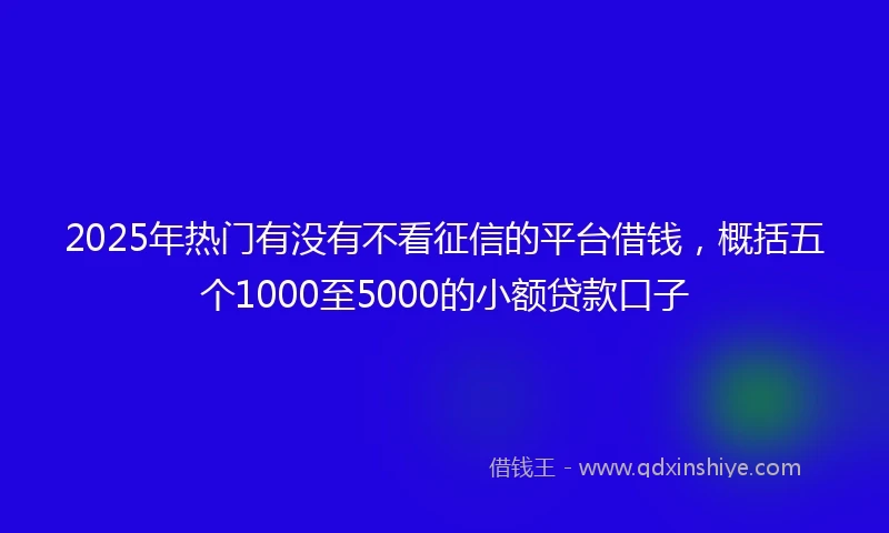 2025年热门有没有不看征信的平台借钱，概括五个1000至5000的小额贷款口子