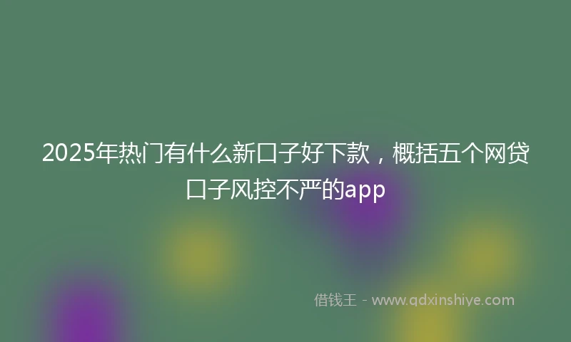 2025年热门有什么新口子好下款，概括五个网贷口子风控不严的app