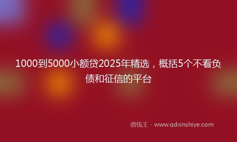 1000到5000小额贷2025年精选，概括5个不看负债和征信的平台