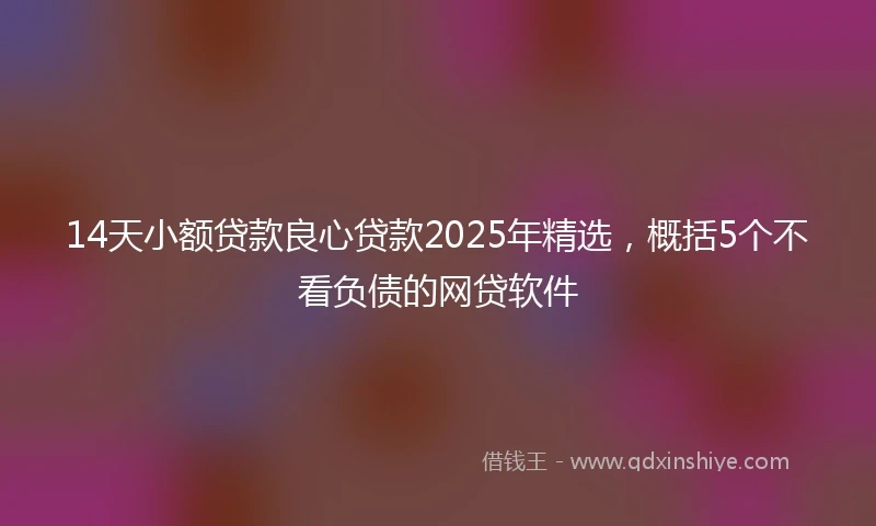14天小额贷款良心贷款2025年精选，概括5个不看负债的网贷软件