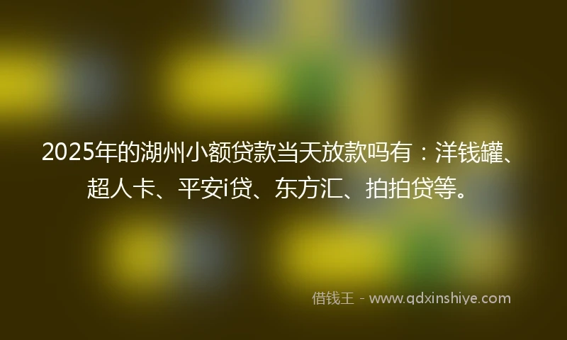 2025年的湖州小额贷款当天放款吗有:洋钱罐、超人卡、平安i贷、东方汇、拍拍贷等。