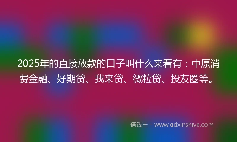 2025年的直接放款的口子叫什么来着有：中原消费金融、好期贷、我来贷、微粒贷、投友圈等。