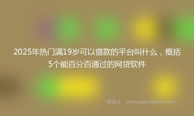 2025年热门满19岁可以借款的平台叫什么，概括5个能百分百通过的网贷软件