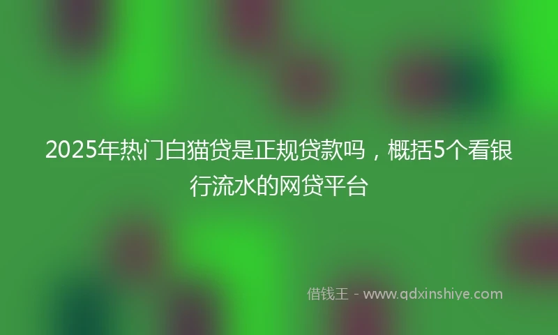2025年热门白猫贷是正规贷款吗，概括5个看银行流水的网贷平台