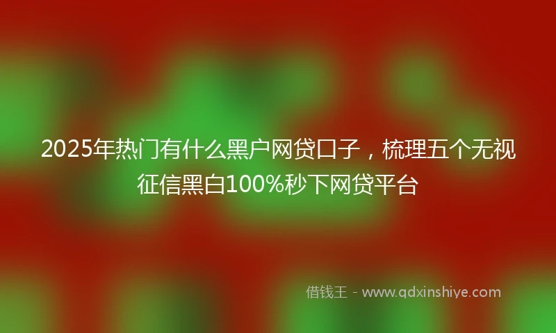 2025年热门有什么黑户网贷口子，梳理五个无视征信黑白100%秒下网贷平台