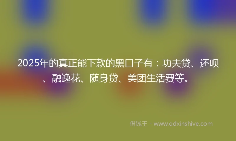 2025年的真正能下款的黑口子有：功夫贷、还呗、融逸花、随身贷、美团生活费等。