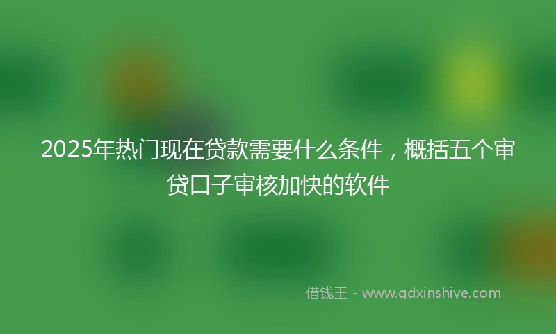 2025年热门现在贷款需要什么条件，概括五个审贷口子审核加快的软件