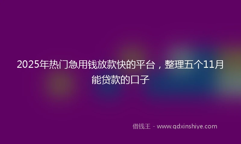 2025年热门急用钱放款快的平台，整理五个11月能贷款的口子
