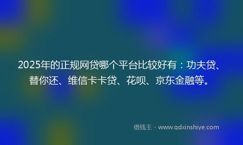 2025年的正规网贷哪个平台比较好有：功夫贷、替你还、维信卡卡贷、花呗、京东金融等。