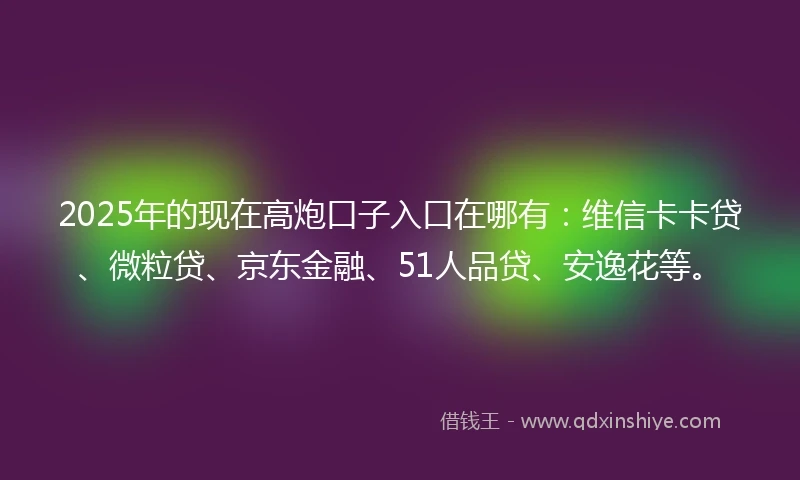 2025年的现在高炮口子入口在哪有：维信卡卡贷、微粒贷、京东金融、51人品贷、安逸花等。