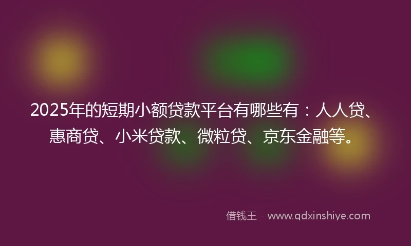 2025年的短期小额贷款平台有哪些有：人人贷、惠商贷、小米贷款、微粒贷、京东金融等。