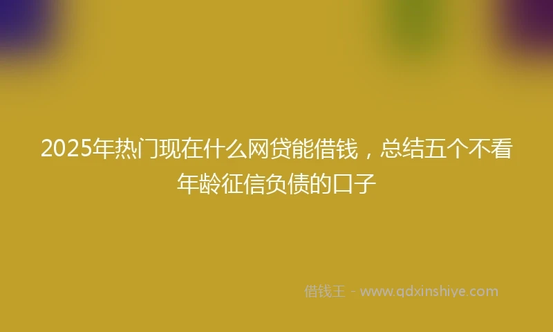 2025年热门现在什么网贷能借钱，总结五个不看年龄征信负债的口子