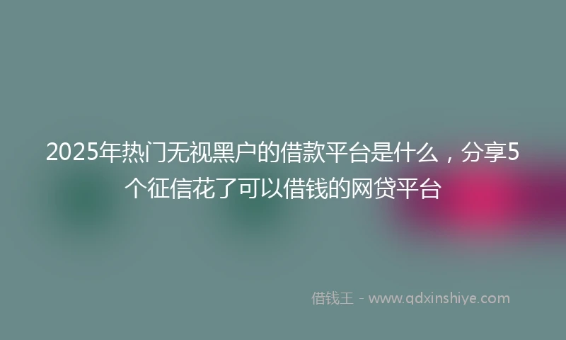 2025年热门无视黑户的借款平台是什么，分享5个征信花了可以借钱的网贷平台