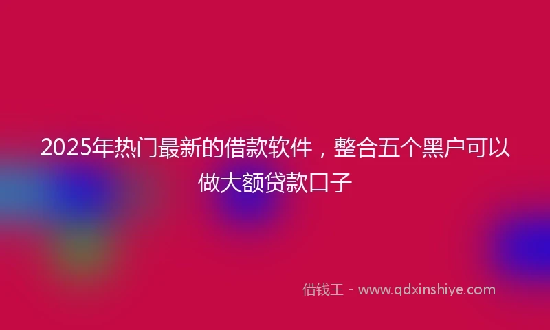 2025年热门最新的借款软件，整合五个黑户可以做大额贷款口子