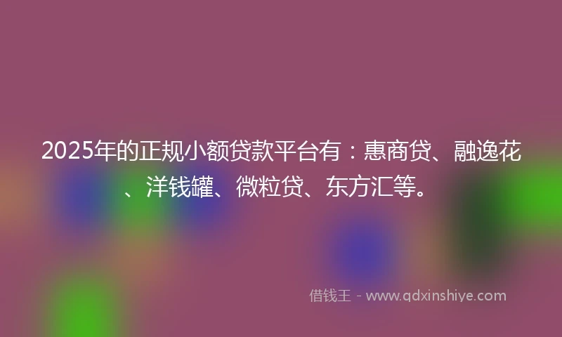 2025年的正规小额贷款平台有：惠商贷、融逸花、洋钱罐、微粒贷、东方汇等。