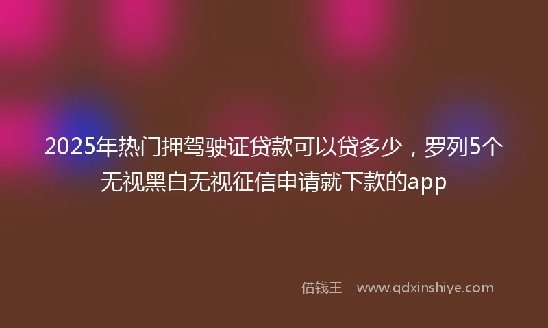 2025年热门押驾驶证贷款可以贷多少，罗列5个无视黑白无视征信申请就下款的app