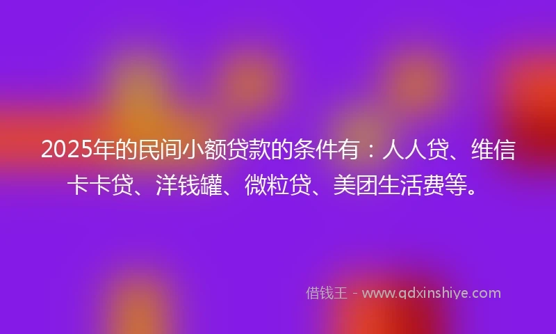 2025年的民间小额贷款的条件有：人人贷、维信卡卡贷、洋钱罐、微粒贷、美团生活费等。