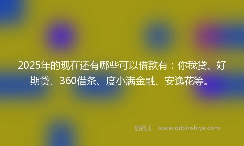 2025年的现在还有哪些可以借款有：你我贷、好期贷、360借条、度小满金融、安逸花等。