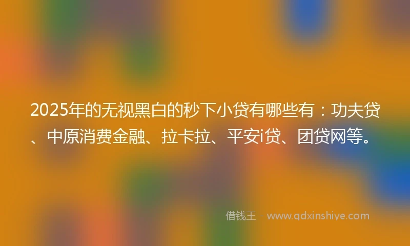 2025年的无视黑白的秒下小贷有哪些有：功夫贷、中原消费金融、拉卡拉、平安i贷、团贷网等。