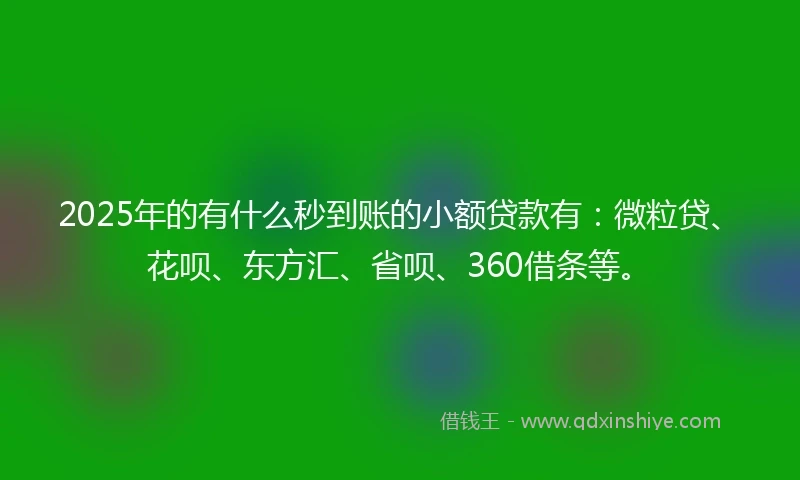 2025年的有什么秒到账的小额贷款有：微粒贷、花呗、东方汇、省呗、360借条等。