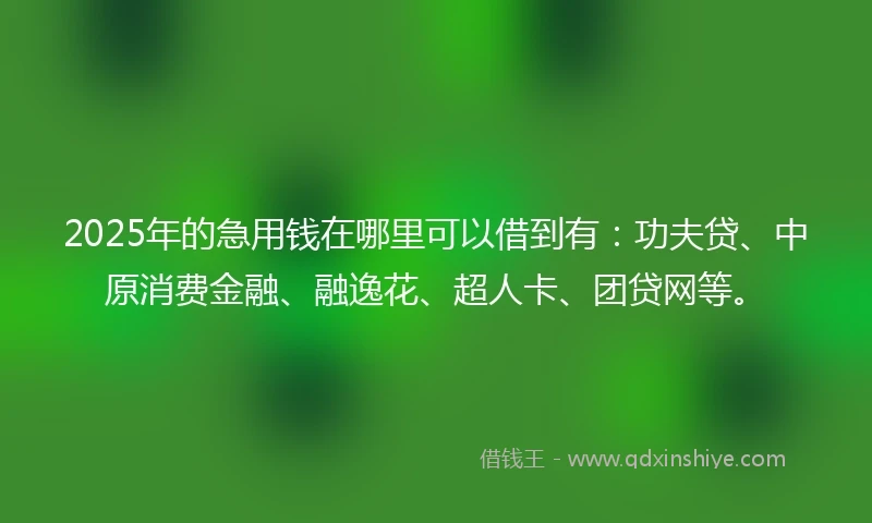 2025年的急用钱在哪里可以借到有：功夫贷、中原消费金融、融逸花、超人卡、团贷网等。