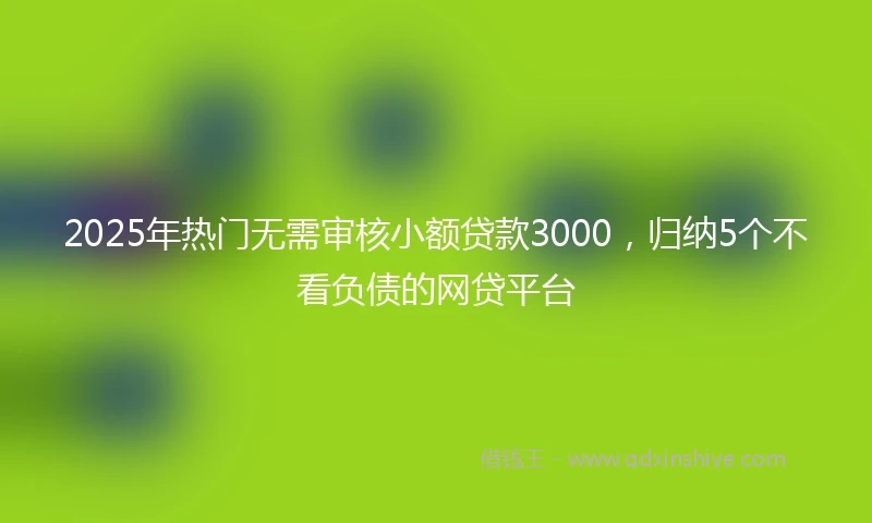 2025年热门无需审核小额贷款3000，归纳5个不看负债的网贷平台