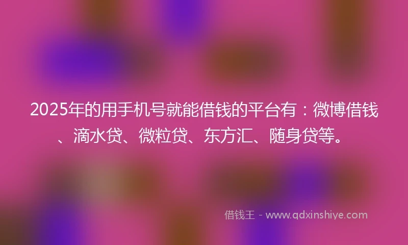 2025年的用手机号就能借钱的平台有:微博借钱、滴水贷、微粒贷、东方汇、随身贷等。