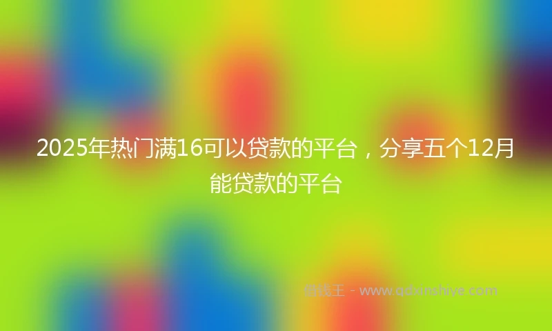 2025年热门满16可以贷款的平台，分享五个12月能贷款的平台